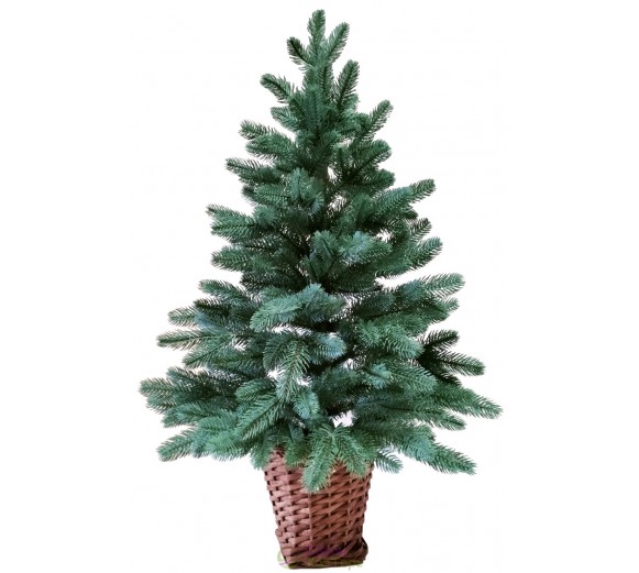 Ялина лита блакитна 0,9 м у горщику з лози